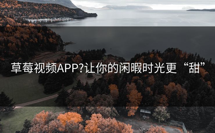 草莓视频APP?让你的闲暇时光更“甜”