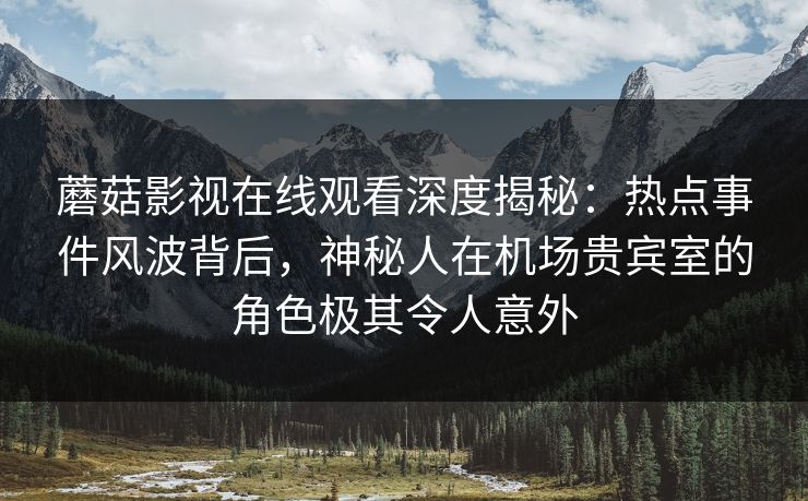 蘑菇影视在线观看深度揭秘：热点事件风波背后，神秘人在机场贵宾室的角色极其令人意外