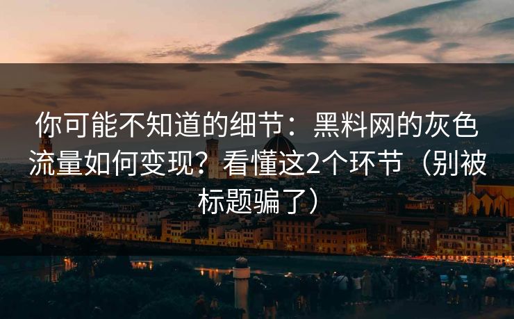 你可能不知道的细节：黑料网的灰色流量如何变现？看懂这2个环节（别被标题骗了）  第1张