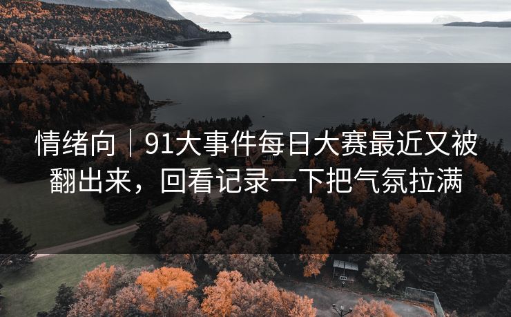 情绪向｜91大事件每日大赛最近又被翻出来，回看记录一下把气氛拉满  第1张